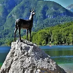 Korosec * Bled