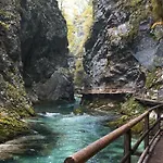 Korosec * Bled