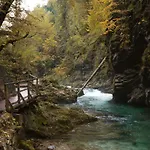 Korosec * Bled