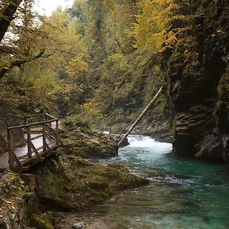 Korosec * Bled